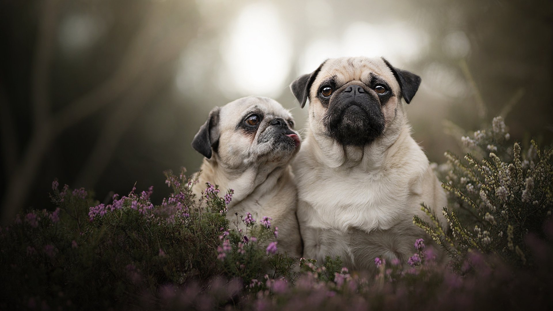 中国女篮年轻新秀崭露头角，未来可期，中国女篮最年轻的成员是谁
